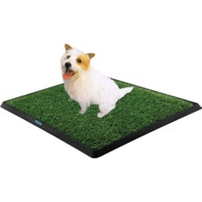 Köpek Tuvalet Eğitim Seti