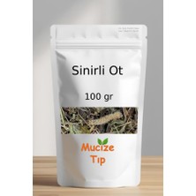 Mucize Tıp Sinirli Ot Kurusu Dökme 100 gr