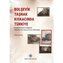 Türk Tarih Kurumu Bolşevik Taşnak Kıskacında Türkiye Sovyetlerle Diaspora Gölgesinde Mültecilere Yurt Arayışı ve Ermeni Milliyetçiliği