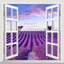 Uravas Store Pencere Poster Duvar Kağıdı Lavanta Tarlası Yapışkanlı Sticker