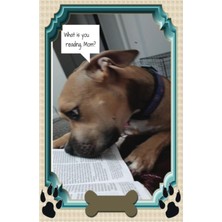 Uravas Store Independently Published Puppy Journal
