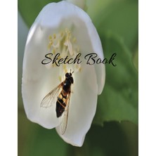 Uravas Store Independently Published Sketch Book: Notebook For Drawing, Writing, Painting, Sketching Or Doodling
