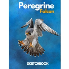 Uravas Store Peregrine Falcon Sketchbook Large Sketchbook For Drawing 8.25 x 11 Inch (21.59 x 27.94 Cm) 200 Pages Hardcover: Peregrine Falcon Blank Journal & Blank Notebook , Sketch,draw & Doodle