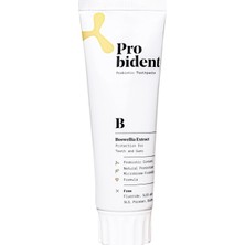 Uravas Store Probident Aktif Probiyotikli Florürsüz Akgünlük Özüt Ilaveli Doğal Diş Macunu 75ML