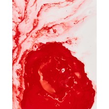 Uravas Store Bloody Cover Journal