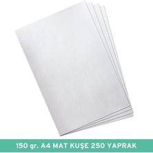 Uravas Store Umur 150 gr A4 Mat Kuşe Kağıt, 250 Yaprak