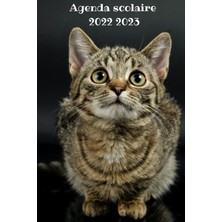 Uravas Store Agenda Scolaire 2022 2023: Chat : Planificateur Pour Étudiants-Primaire-Collège-Lycée| Pour Fille Et Garçon| Agenda Pour La Rentrée De Septembre 2022 À Septembre 2023| Thème Animaux (French Edition)