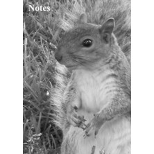 Uravas Store Squirrel Notebook: Notes, Medium Size (5.8'' x 8.3'') , Lined, 108 Pages