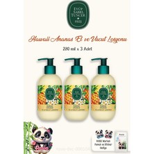 Uravas Store Eyüp Sabri Tuncer Hawaii Ananas 3 Adet Vücut Losyonu 280 ml ve Rosıe Pamuk 60'lı