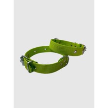 Uravas Store Küçük Boy Yavru Köpekler Için Tasma Yeşil 40"