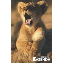 Uravas Store Agenda 2021 2022: Organiseur Scolaire (Août 2021 / Juillet 2022) Pour Étudiants Collège, Lycée – Planificateur Journalier 1 Jour Par Page | Couverture Bebe Lion