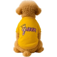 Uravas Store Kedi ve Köpek Kıyafeti & Elbisesi Sarı Sweatshirt Queen S