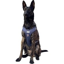 Uravas Store Cool Walk Premium Köpek Göğüs Tasması M