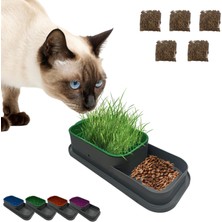 Uravas Store Madpet Topraksız Kedi Çimi Kabı Yeşil – 5 Paket Çim Tohumlu Hidroponik Çim Yetiştirme Seti – Kediler Için Doğal Çim Yetiştirme Kutusu – Evde Kolay Çimlendirme ve Sindirim Desteği