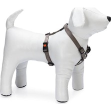 Uravas Store Karlie Kilitli Göğüs Tasma, Köpek, M, 45-70 Cm, Gri