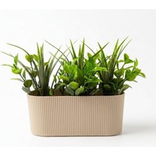 Uravas Store Dekoratif Yapay Sukulent Bitki Saksısı – Modern Masaüstü Yapay Bitki Aranjmanı, Dekoratif Plastik Saksı ile Ev, Ofis ve Raf Dekoru (16 x 7 Cm)