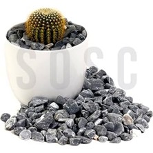 Kırçılı Çakıl Taşı Dolomit Taşı Bahçe Süsü Akvaryum Taşı Dere Çakıl Taşı 1-2 cm 3 kg