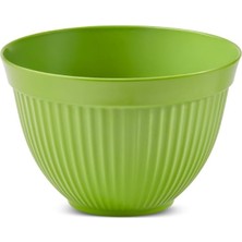 Uravas Store Aryıldız Daily Karıştırma Kabı Küçük Yeşil 9704260098