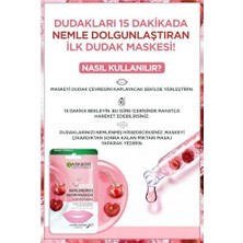 Dudak Nemlendirici Bakım Maskesi