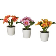 Uravas Store Ikea Fejka Saksılı Yapay Bitki, Karışık Renkler, 6 Cm, Çuha Çiçeği, Iç-Dış Mekan