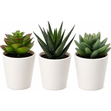 Uravas Store Ikea Fejka Yapay Saksı Bitkisi Saksılı Iç Mekan Dış Mekan Etli / 3'lü Paket Boyutu 2 ¼ " 3'lü Paket 203.953.31