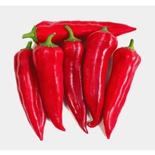 Uravas Store Biber Maraş (Çoklu Tohum) - 5 Gram