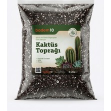 Uravas Store Organik Cocopeat Perlit Pomza Karışımlı Kaktüs ve Sukulent Toprağı 5 Litre