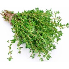 Uravas Store Kekik (Çoklu Tohum) - 3 Gram