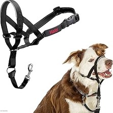 Uravas Store Şirket Hayvanlarının Halti Köpek Halter, Boyut 2 (35-48 Cm), Siyah