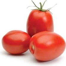 Uravas Store Domates Salçalık (Çoklu Tohum) - 3 Gram