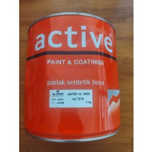 Ny Trend Active Antrasit 3 kg Sentetik Boya