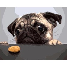 Hobbylab Sevimli Pug Çerçeveli 90X110 Sayılarla Boyama Hobi Seti