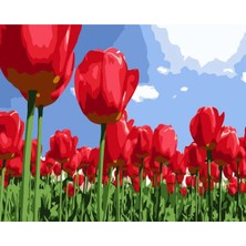 Hobbylab Kırmızı Laleler Çerçevesiz 50X65 Sayılarla Boyama Hobi Seti