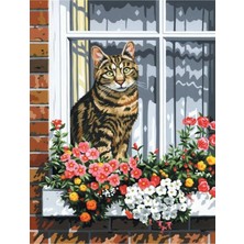 Hobi Tedarik Camdaki Kedi Çerçevesiz 70X90 Sayılarla Boyama Hobi Seti
