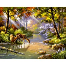 Hobbylab Sevimli Geyikler Çerçevesiz 50X65 Sayılarla Boyama Hobi Seti