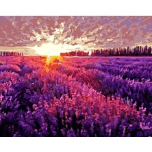 Hobbylab Lavanta Tarlası ve Günbatımı Sticker(Çerçevesiz) 40X50 Sayılarla Boyama Hobi Seti