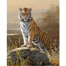 JN Store Majestik Kaplan Sticker Çerçevesiz 90X110 Sayılarla Boyama Hobi Seti