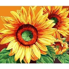Hobbylab Ayçiçeği Masalı 1 Çerçeveli 60X75 Sayılarla Boyama Hobi Seti