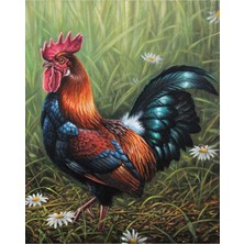 Hobbylab Erken Öten Horoz Sticker(Çerçevesiz) 90X110 Sayılarla Boyama Hobi Seti