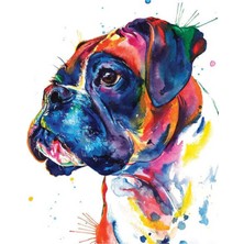 Hobbylab Renkli Boxer Çerçevesiz 60X75 Sayılarla Boyama Hobi Seti