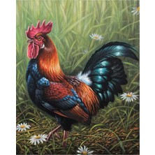 Hobi Tedarik Erken Öten Horoz Çerçeveli 40X50 Sayılarla Boyama Hobi Seti