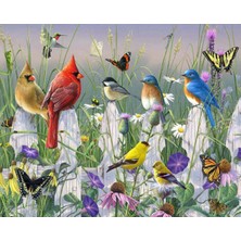 Hobbylab Kuş Cenneti Çerçevesiz 40X50 Sayılarla Boyama Hobi Seti