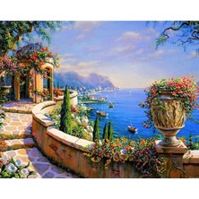 Hobbylab Çiçekli Taş Yol Çerçeveli 50X65 Sayılarla Boyama Hobi Seti