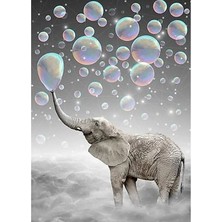 Hobbylab Baloncuklar ve Fil Çerçeveli 90X110 Sayılarla Boyama Hobi Seti