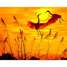 Hobbylab Günbatımı ve Romantik Kuşlar Sticker(Çerçevesiz) 60X75 Sayılarla Boyama Hobi Seti