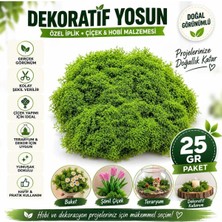 hyc heryerçiçeklenir Yapay Yosun 25 gr Dekoratif Yeşil Yosun