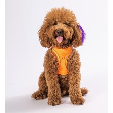 Neon Turuncu Air-mesh Göğüs Tasması Kedi Köpek Göğüs Tasması