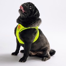 Neon Sarı Air-mesh Göğüs Tasması Kedi Köpek Göğüs Tasması