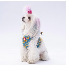 PawStar Airmesh Ducks Göğüs Tasması Mavi - Sarı Renkli Hafif ve Nefes Alabilen Tasarım