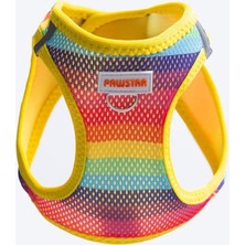 Rainbow Air-Mesh Göğüs Tasması Kedi Köpek Göğüs Tasması Gökkuşağı Desenli Köpek Tasması